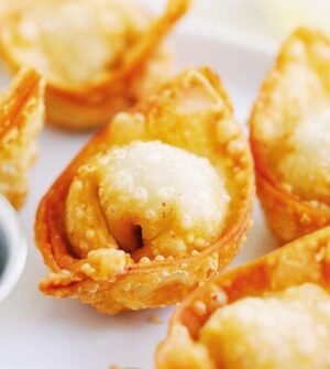 Chicken Wonton