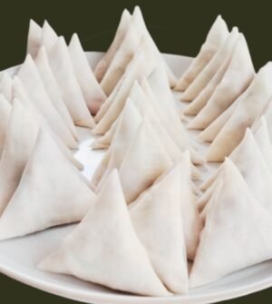 Frozen Chicken Veg Somosa
